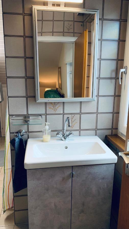 Haus Sonnenhang Friesenheim  Ngoại thất bức ảnh
